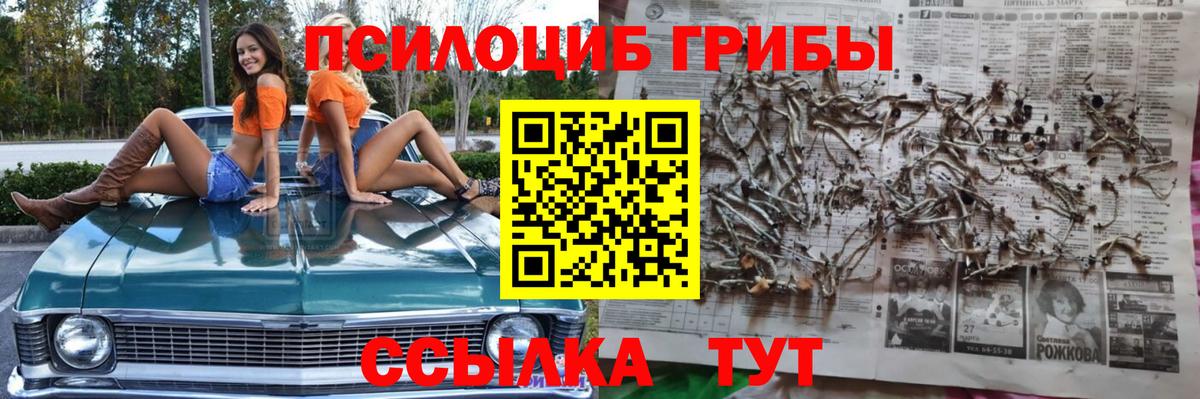 Галлюциногенные грибы GOLDEN TEACHER Киреевск