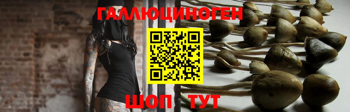 Псилоцибиновые грибы мицелий  Вход с VPN  Киреевск 